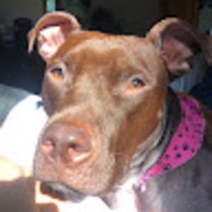 Meet your Posher, Isabella